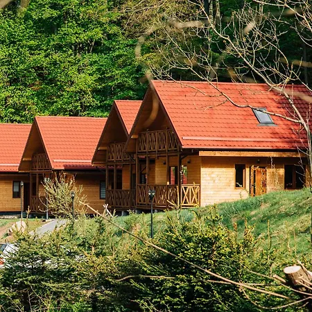 Agro Pod Jesionem 2 Kudowa-Zdrój